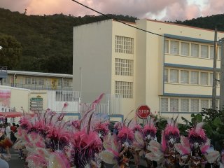 Collège Courbaril