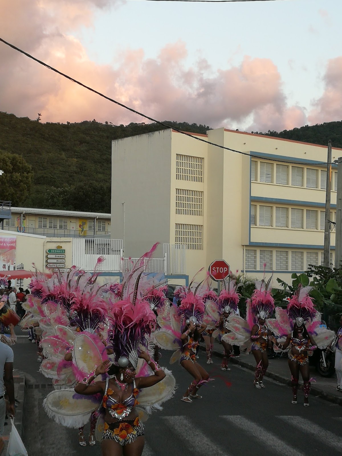 Courbaril