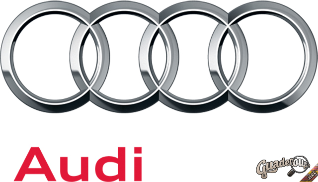 AUDI SGDM