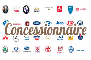 Auto Guadeloupe Professionnel