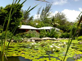 Gîtes Bungalow Shambala Lodge Le Moule