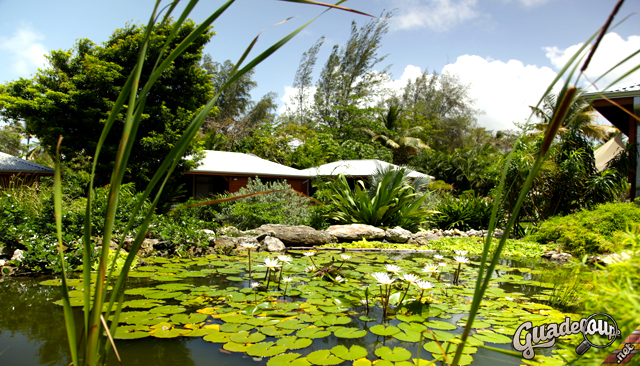 Bungalow Shambala Lodge Le Moule
