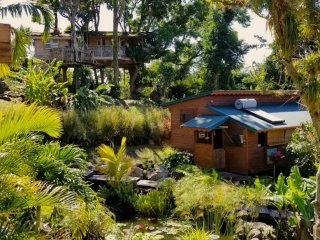 Gîte Les Bananes Vertes