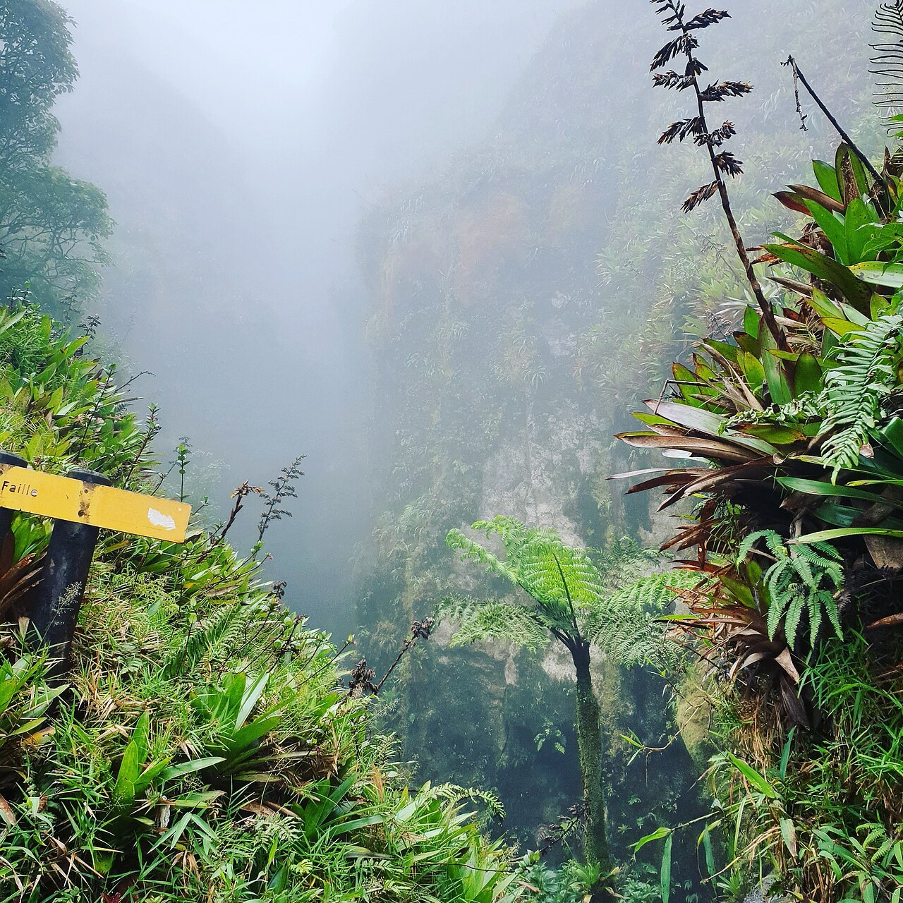 Escalade Guadeloupe