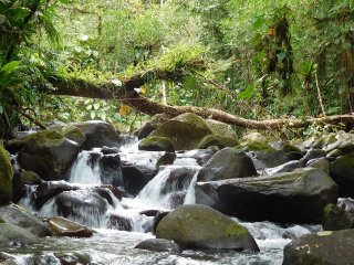 Parc National Guadeloupe