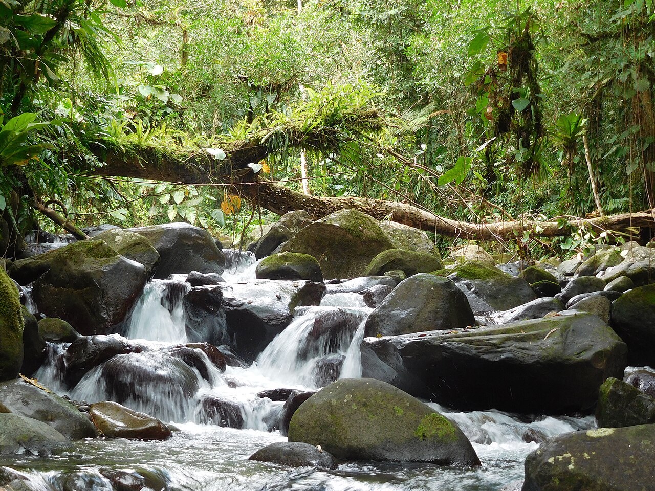 Parc National Guadeloupe
