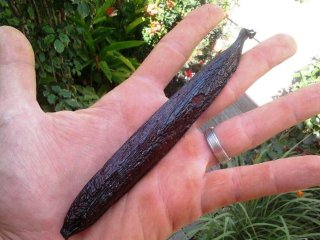 Vanille Guadeloupe