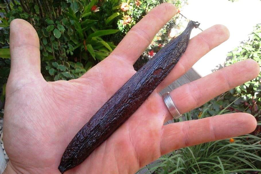 Vanille Guadeloupe