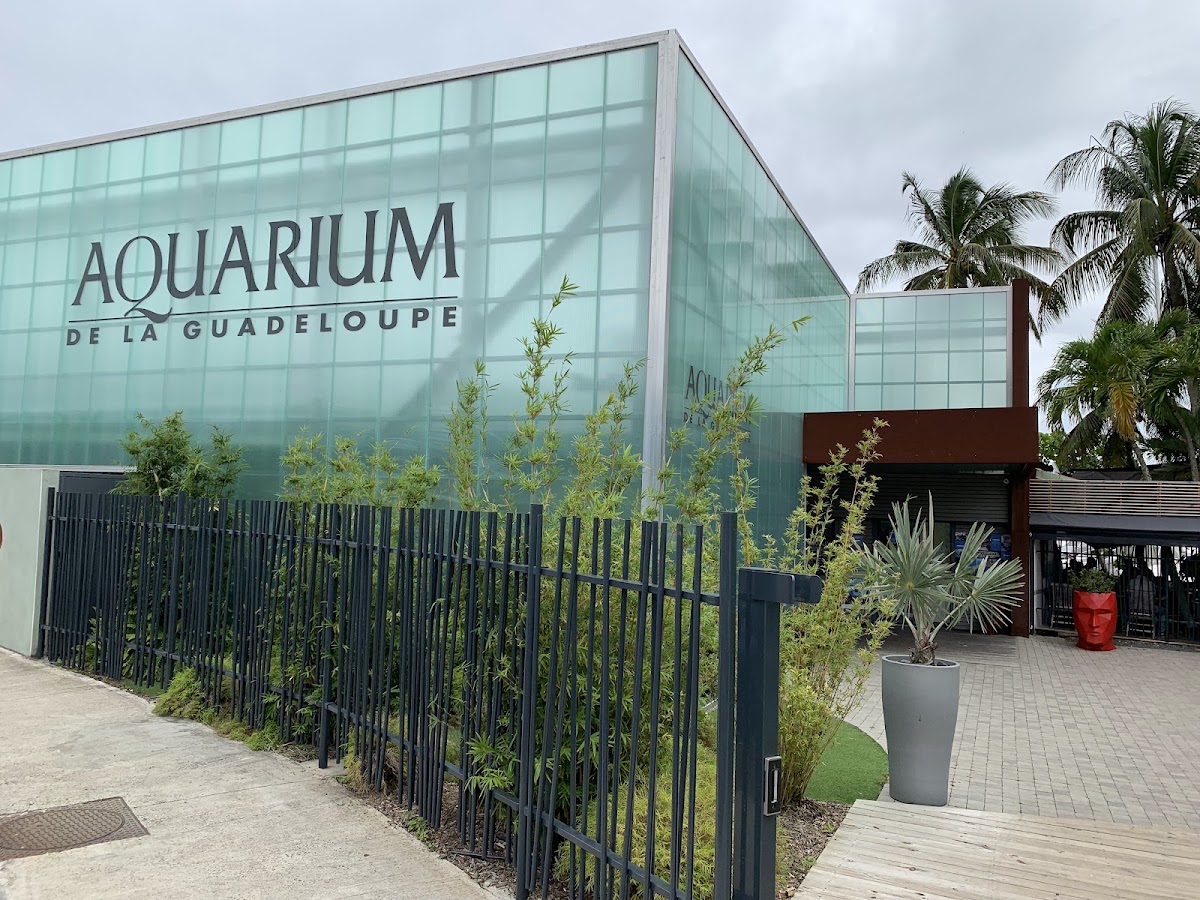 Aquarium de la Guadeloupe