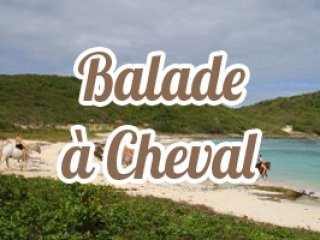 Balade à cheval Les Ecuries de la Coulisse