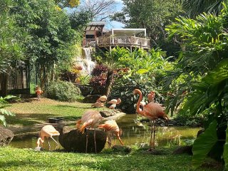 Parcs de Loisirs Jardin Botanique Deshaies