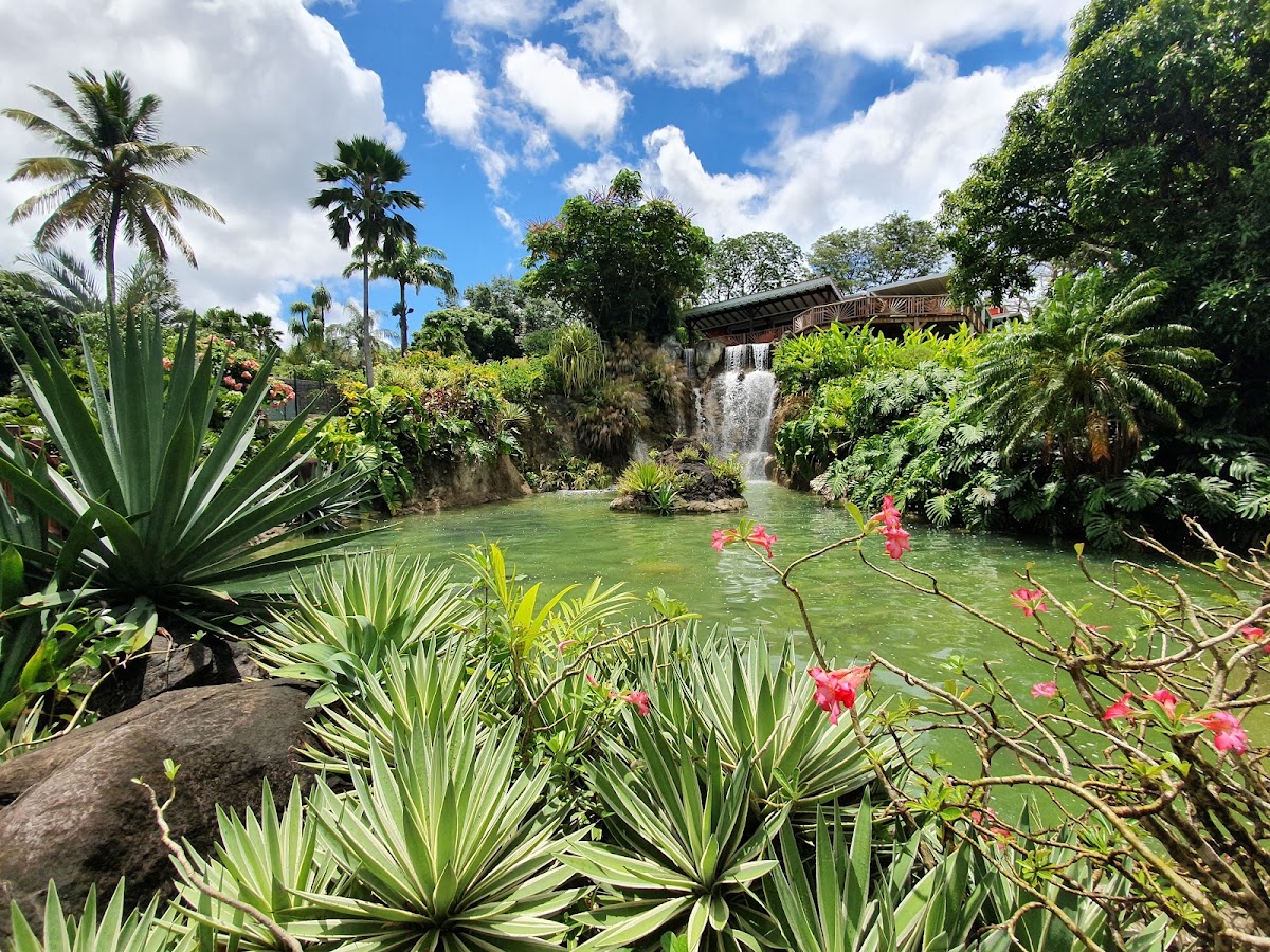 Jardin Botanique Deshaies