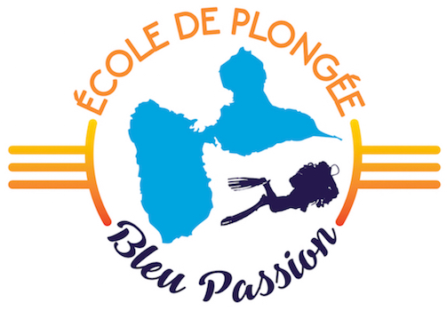 Plongée Blue Passion Bouillante