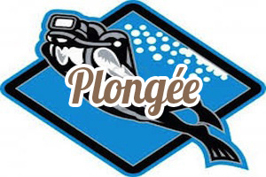 Plongée