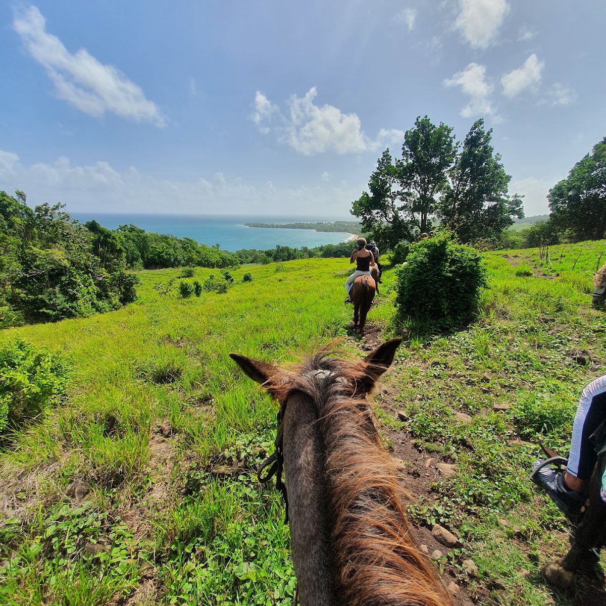 Ranch des 2 Ilets Deshaies