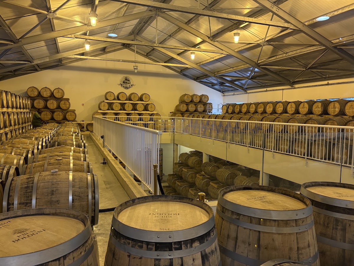 Rhum Bologne Basse-Terre