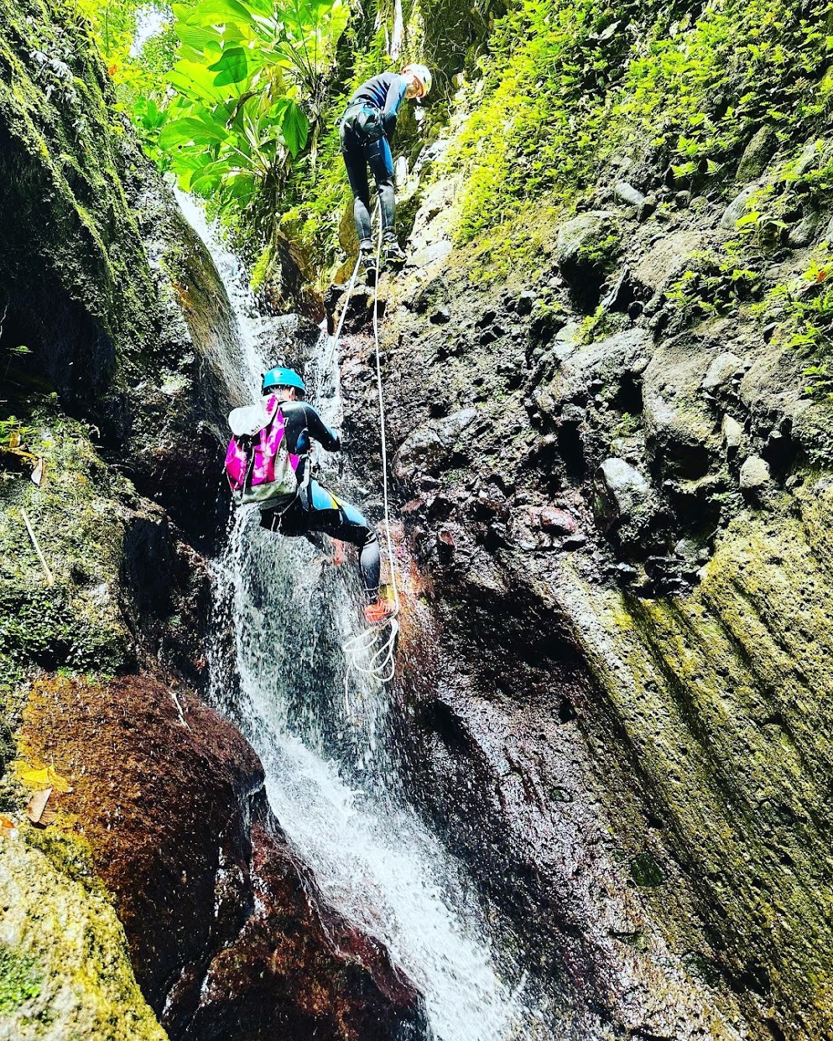 Tropi'canyon