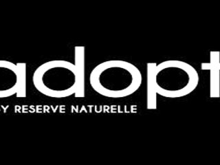 Adopt Parfums