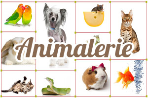 Animalerie