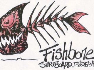Surf Shop Fishbone