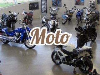 Magasin Gosier Focus Moto