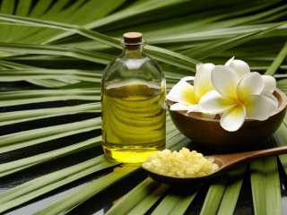 Magasin Basse-Terre EDEN BEAUTE / LE JARDIN D'EDEN