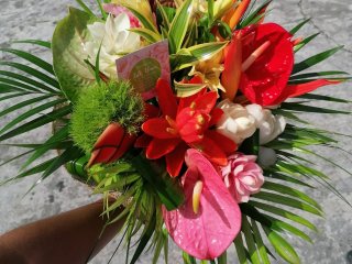Fleuriste Les Fleurs Du Jackmel