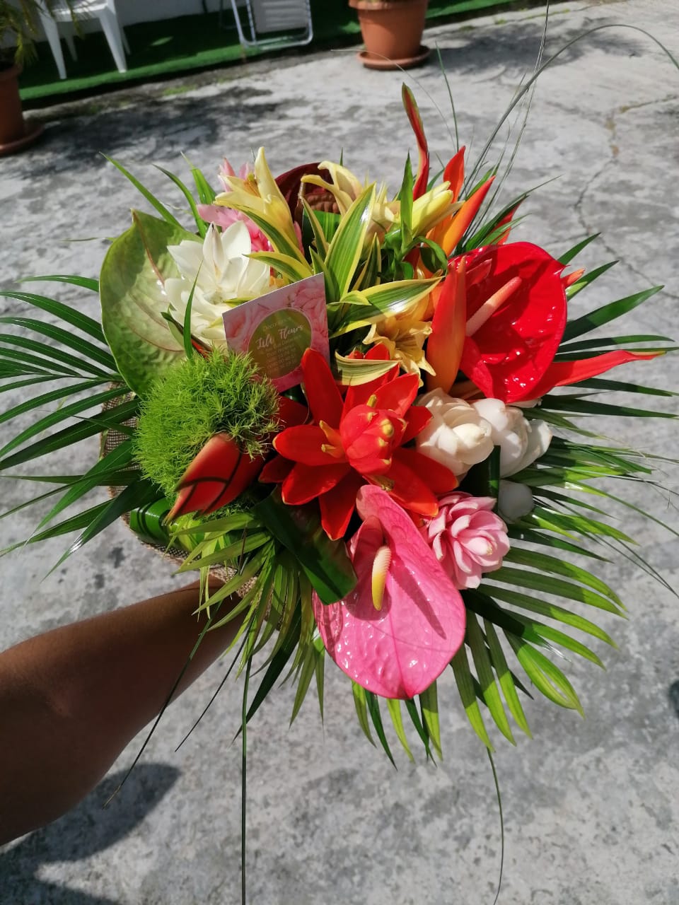 Les Fleurs Du Jackmel