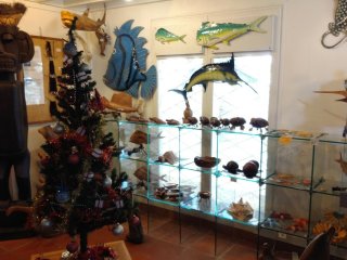 Souvenir Maison de la Noix de coco