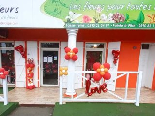 Magasin Basse-Terre Mil'Fleurs Basse Terre