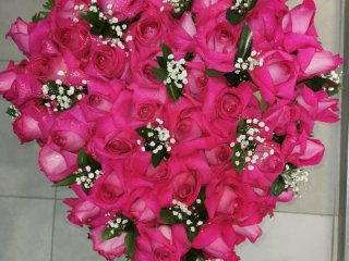 Magasin Les Abymes Pensee d'Anemone
