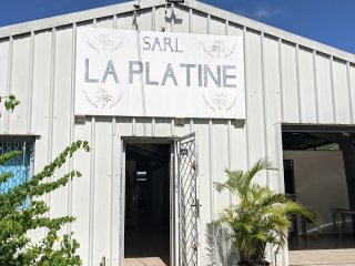Créole La Platine d'Or