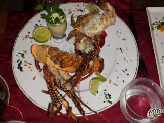 Gastronomique Restaurant Le Mabouya dans la Bouteille