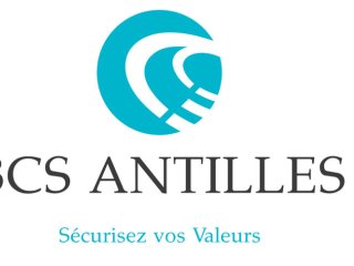 Dépanneur informatique BCS Antilles Baie Mahault