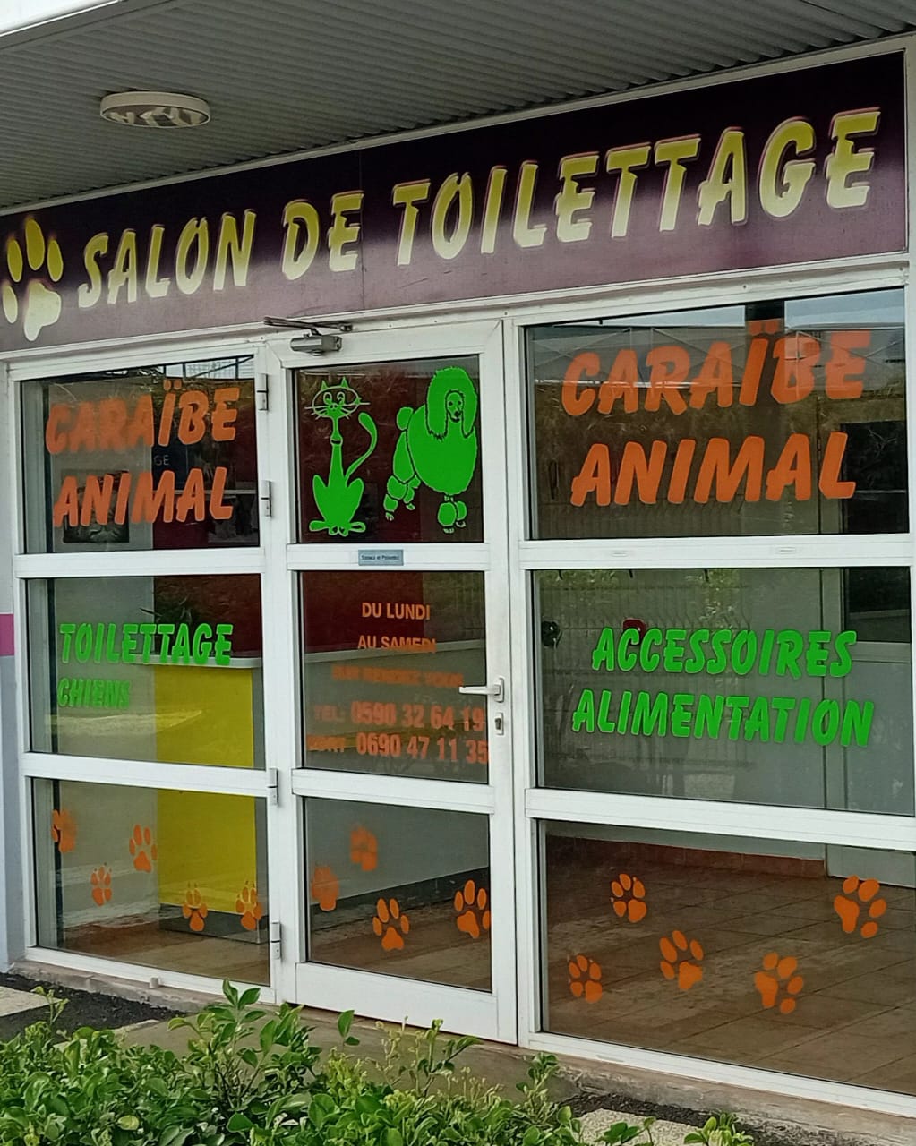 Caraïbe Animal