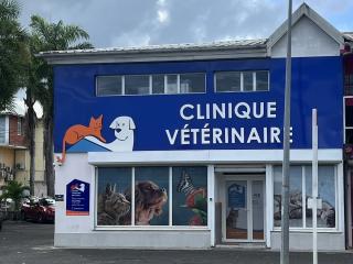 Vétérinaire Clinique Vétérinaire Des Alizés Les Abymes