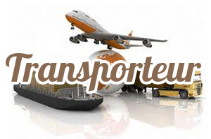 Fedex Guadeloupe