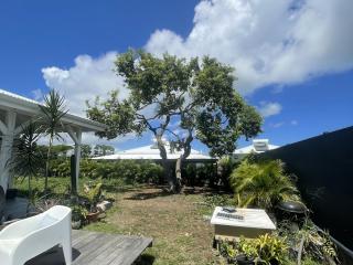 Jardinier Gazon Minute