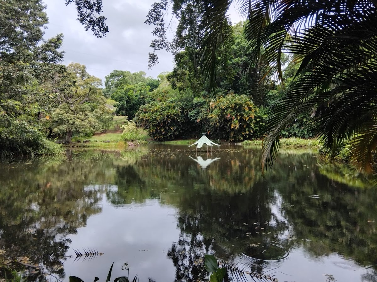 Le Jardin d'Eau