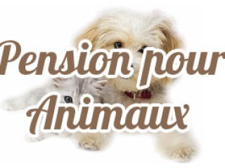 Services Sainte-Anne Pension pour Animaux La Savane Sainte-Anne