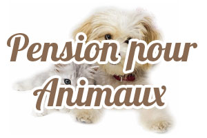 Pension pour Animaux La Savane Sainte-Anne