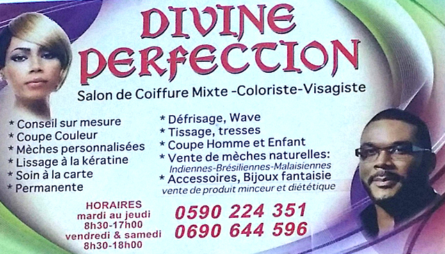 Salon de Coiffure Divine Perfection Le Moule