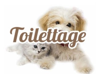 Toilettage Styl'Canin