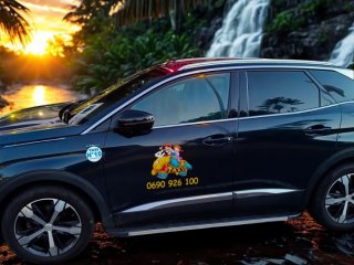 Services Petit-Bourg Taxi Nébor Fréd