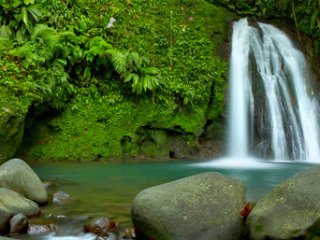 Découvrir Cascades Guadeloupe