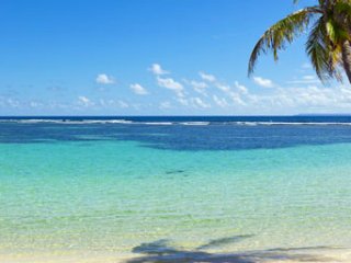 Découvrir Plages Guadeloupe